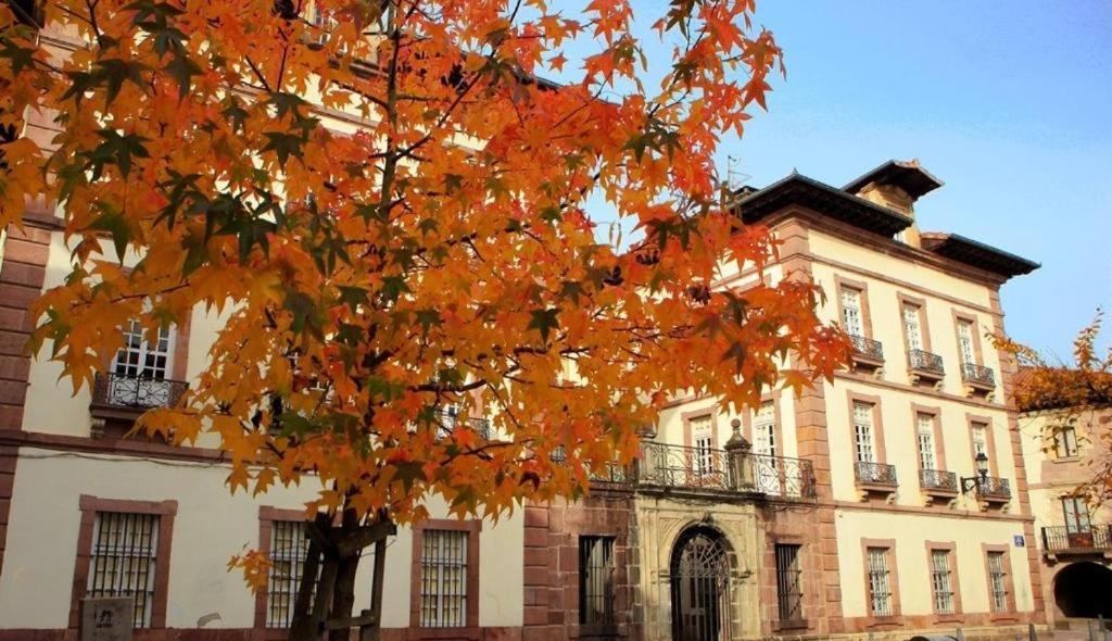 Appartamento Pedroenea Apartamento Elizondo Esterno foto