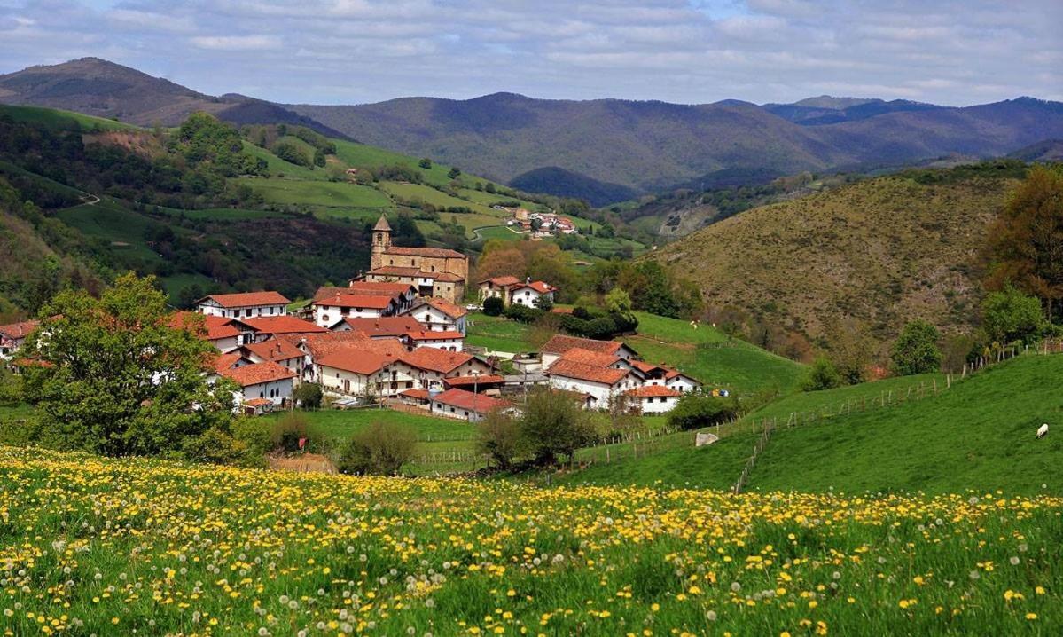 Appartamento Pedroenea Apartamento Elizondo Esterno foto